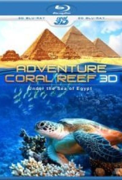 Adventure coral reef 3D - a tenger alatt AZ EGYIPTOMI (3D Blu-ray) 
