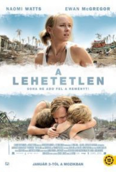 A lehetetlen (DVD) *Naomi Watts - Ewan McGregor - Antikvár - Kiváló állapotú*