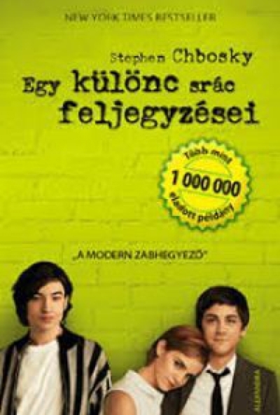 Egy különc srác feljegyzései (DVD) *Antikvár - Kiváló állapotú*