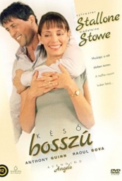 Késő bosszú (DVD)  *Sylvester Stallone - Antikvár - Kiváló állapotú*