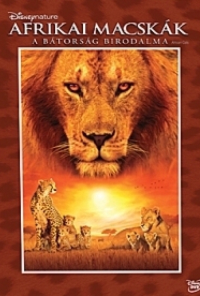 Afrikai macskák - A bátorság birodalma (DVD)