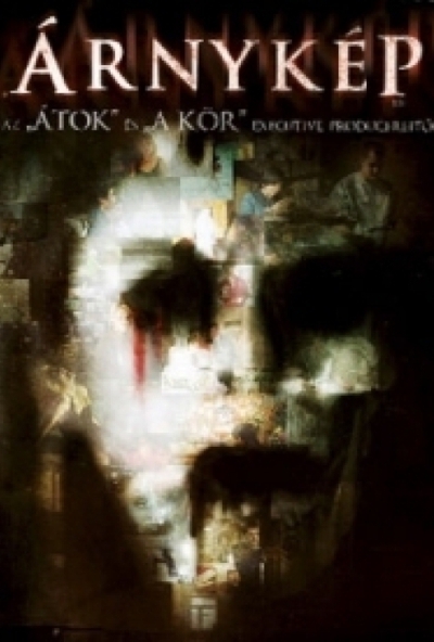 Árnykép (DVD) *Joshua Jackson - Antikvár - Kiváló állapotú*