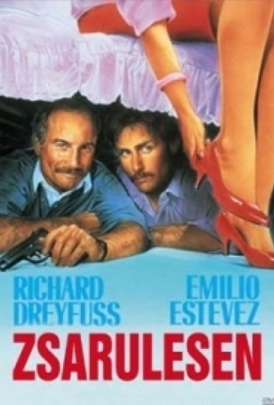 Zsarulesen (DVD) *Antikvár-Kiváló állapotú*