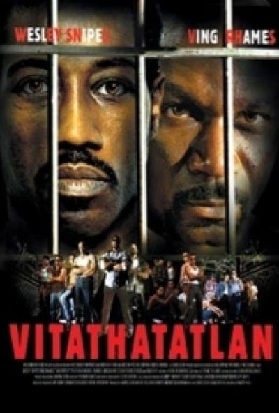 Vitathatatlan (DVD) *Wesley Snipes - Peter Falk - Ving Rhames* *Antikvár - Kiváló állapotú*
