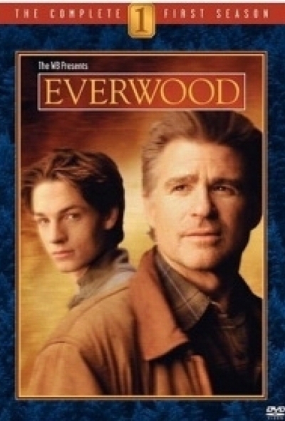 Everwood - 1. évad (6 DVD)