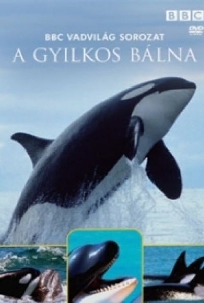 Vadvilág sorozat - A gyilkos bálna (DVD)
