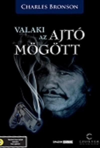 Valaki az ajtó mögött (DVD) *Antikvár - Kiváló állapotú*