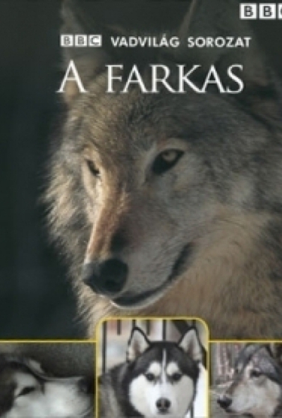 Vadvilág sorozat - A farkas (DVD)