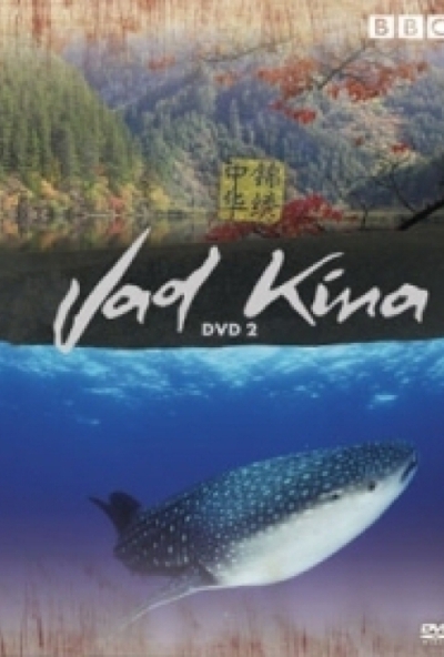 Vad Kína 2. (DVD)