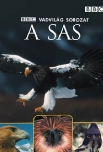 Vadvilág sorozat - A sas (DVD) *Antikvár - Kiváló állapotú*
