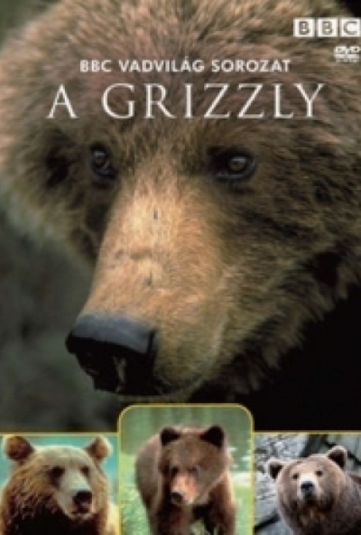 Vadvilág sorozat - A grizzly (DVD) *Antikvár - Kiváló állapotú* 
