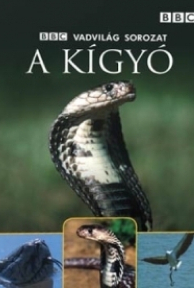Vadvilág sorozat - A kígyó (DVD) *Antikvár - Kiváló állapotú*