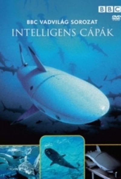 Vadvilág sorozat - Intelligens cápák (DVD)