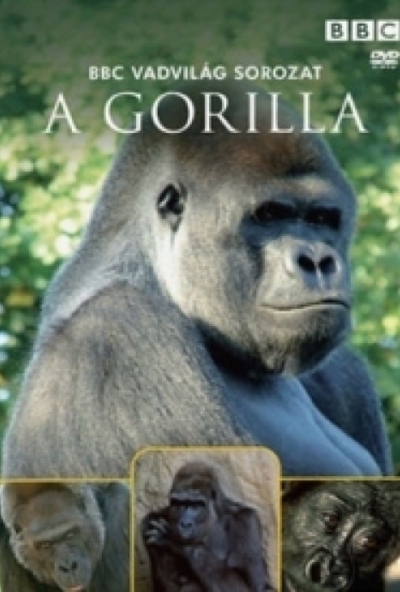 Vadvilág sorozat - A gorilla (DVD) *Antikvár - Kiváló állapotú*
