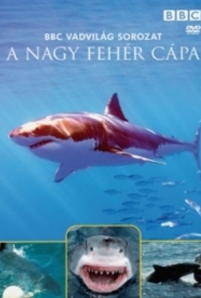 Vadvilág sorozat - A nagy fehér cápa (DVD)  *Antikvár - Kiváló állapotú*