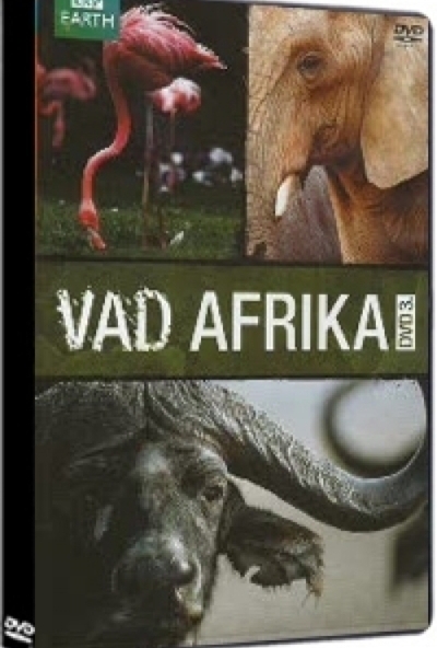 Vad afrika 3. (DVD)