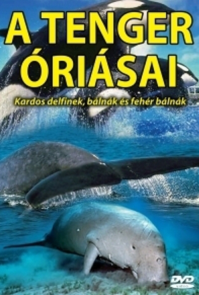 Tenger óriásai (DVD) *Antikvár - Kiváló állapotú*