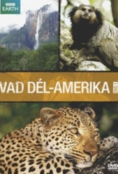 Vad Dél-Amerika 1. - Az Andoktól az Amazonasig (DVD)