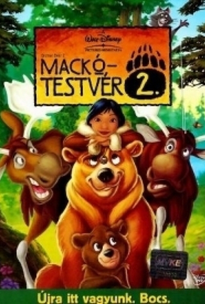 Mackótestvér 2. (DVD) *Antikvár - Közepes állapotú*