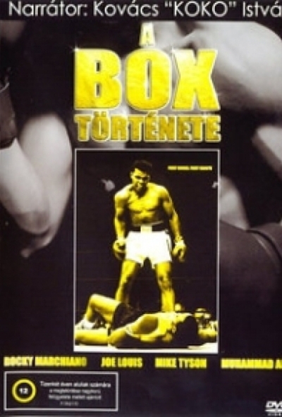 A box története (DVD) *Antikvár - Kiváló állapotú*