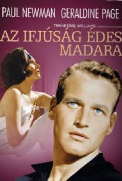 Az ifjúság édes madara (DVD) *Paul Newman - Antikvár - Kiváló állapotú* 