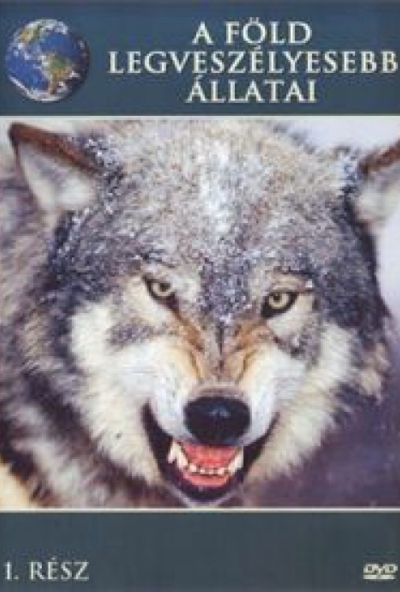 A Föld legveszélyesebb állatai 1. (DVD)  *Antikvár - Kiváló állapotú*