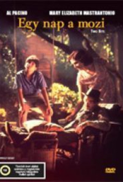 Egy nap a mozi (DVD) *Antikvár-Kiváló állapotú*