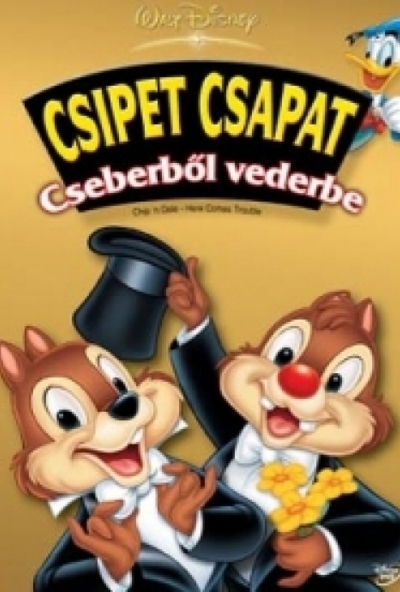 Csipet csapat - Cseberből vederbe (DVD) *Antikvár-Közepes állapotú*