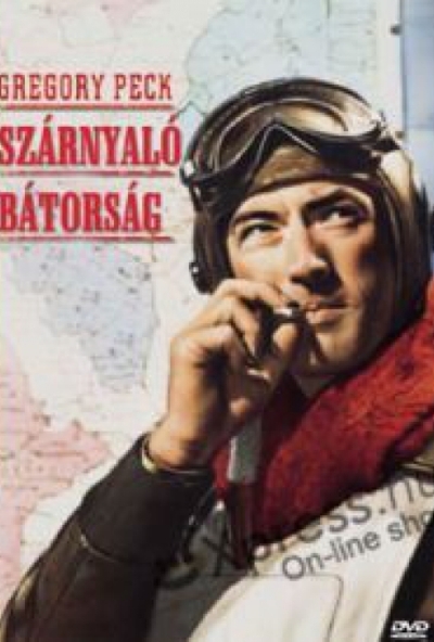 Szárnyaló bátorság (DVD) *Import*