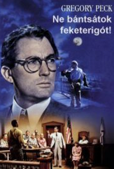 Ne bántsátok a feketerigót! (DVD) *Antikvár - Kiváló állapotú*