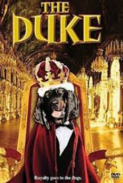 Kutyakomédia (DVD) *Antikvár - Kiváló állapotú*