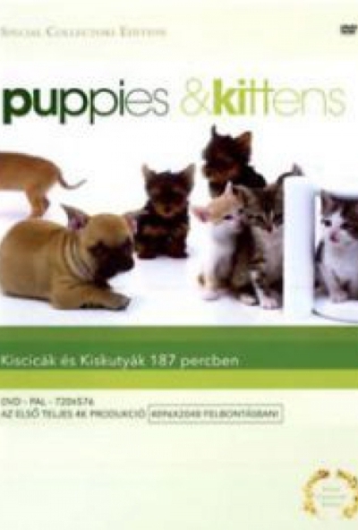 Kiscicák és kiskutyák (DVD)