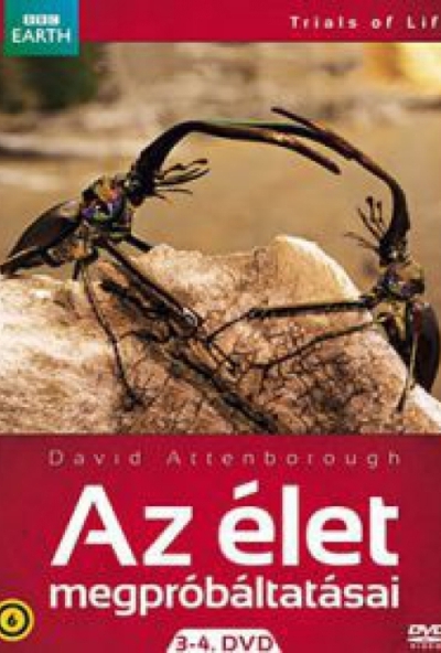 Az élet megpróbáltatásai 3-4. ( 2 DVD)