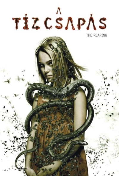 A tíz csapás (DVD)  *Hilary Swank - Antikvár - Kiváló állapotú* 