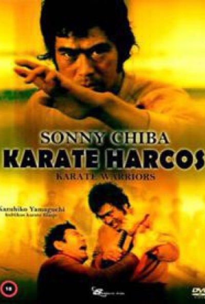 Karate harcos (DVD) *Antikvár - Kiváló állapotú*