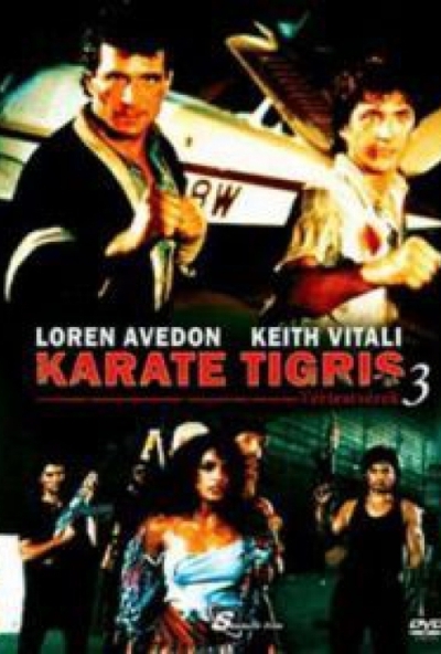 Karate Tigris 3. - Extrakemény Kickboxer (DVD) *Antikvár - Kiváló állapotú*
