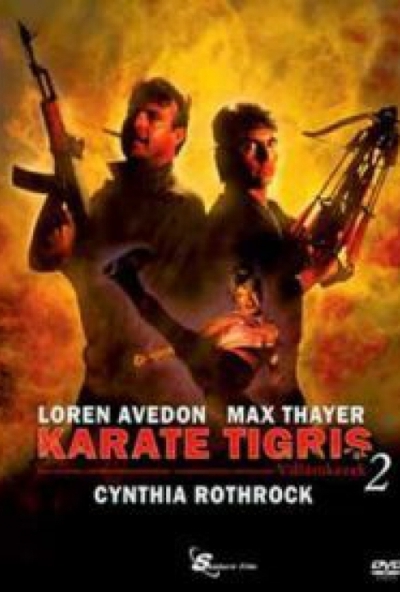 Karate Tigris 2. - Villámkezek (DVD) *Antikvár - Kiváló állapotú*