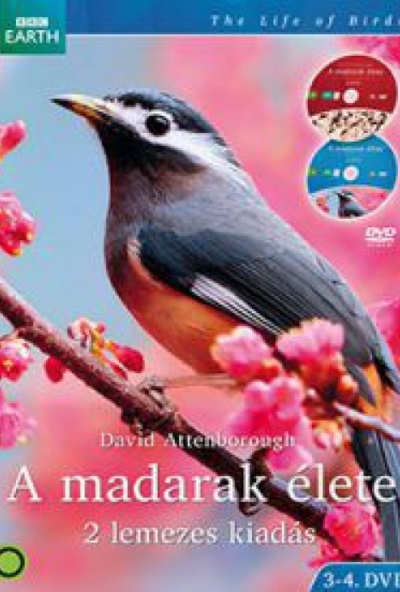 A madarak élete 3-4. (2 DVD)