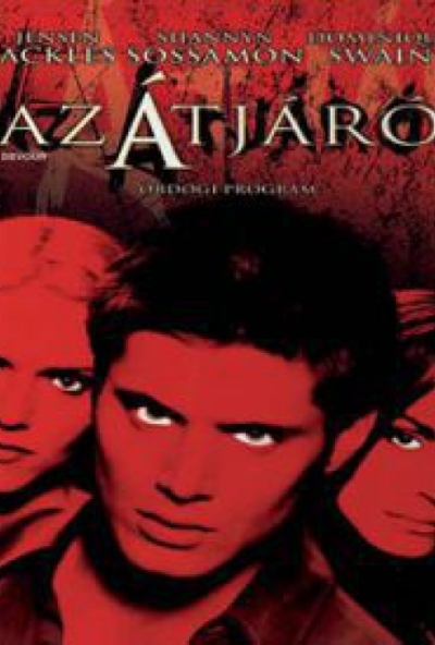 Az átjáró (DVD) *David Winkler - Antikvár - Kiváló állapotú*