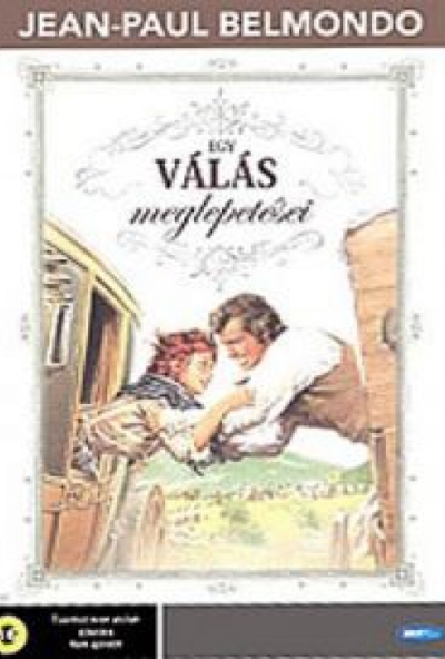 Egy válás meglepetései (DVD)  *Antikvár - Kiváló állapotú*