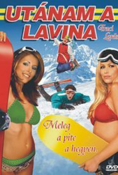 Utánam a lavina (DVD) *Antikvár - Kiváló állapotú*