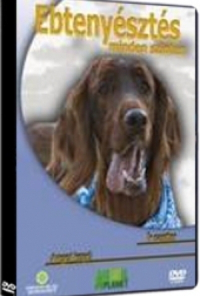 EBTENYÉSZTÉS MINDEN SZINTEN - ÍR SZETTER - ANGOL KOPÓ (DVD)