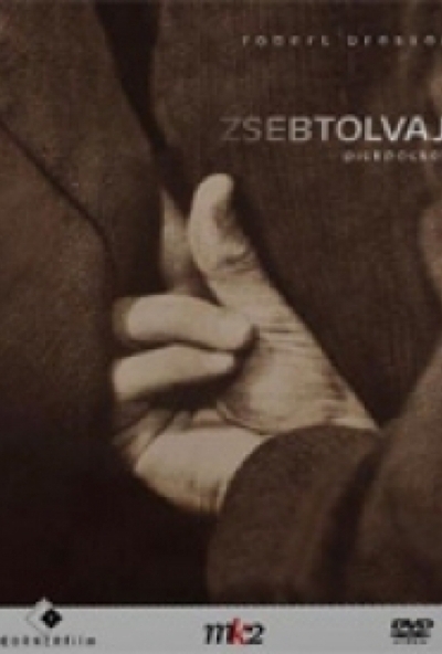 Zsebtolvaj (DVD) *Antikvár - Kiváló állapotú*