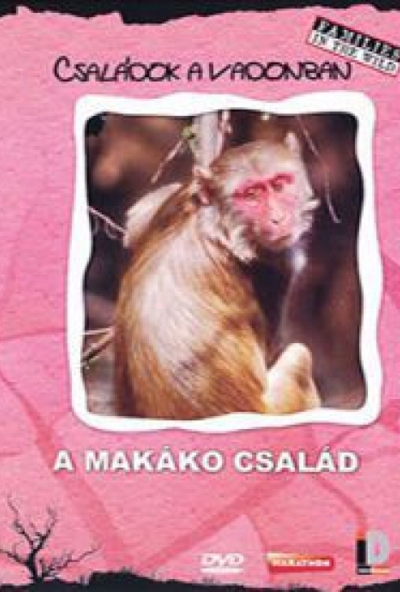 Családok a vadonban - A makákó család (DVD)