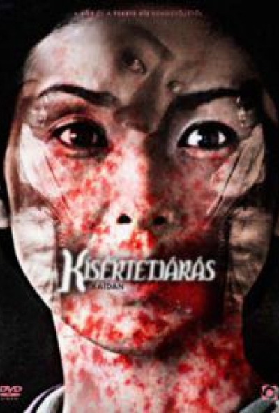 Kísértetjárás (DVD)