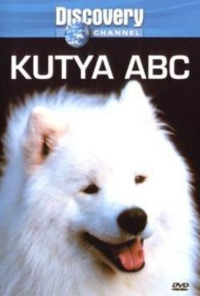 Discovery - Kutya ABC (DVD) *Antikvár - Kiváló állapotú*