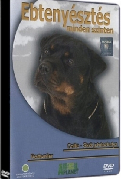 EBTENYÉSZTÉS MINDEN SZINTEN - COLLIE - SKÓT JUHÁSZKUTYA - ROTWEILER (DVD)