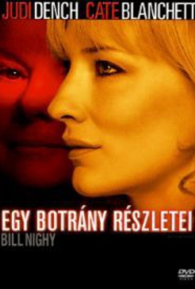Egy botrány részletei (DVD) *Antikvár - Kiváló állapotú*