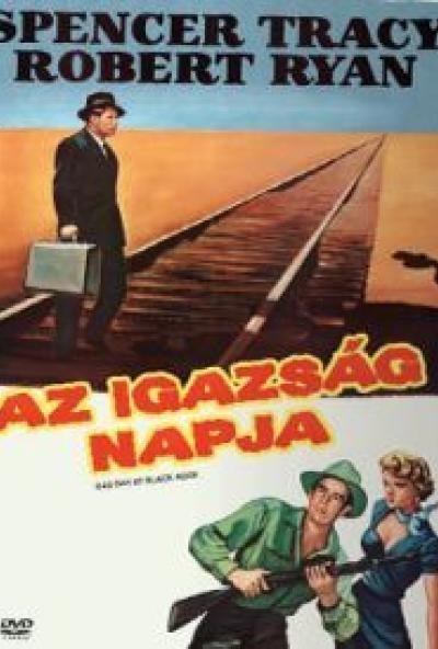 Az igazság napja (DVD)
