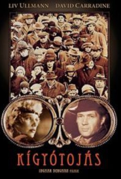 Kígyótojás (DVD) *Antikvár-Kiváló állapotú*